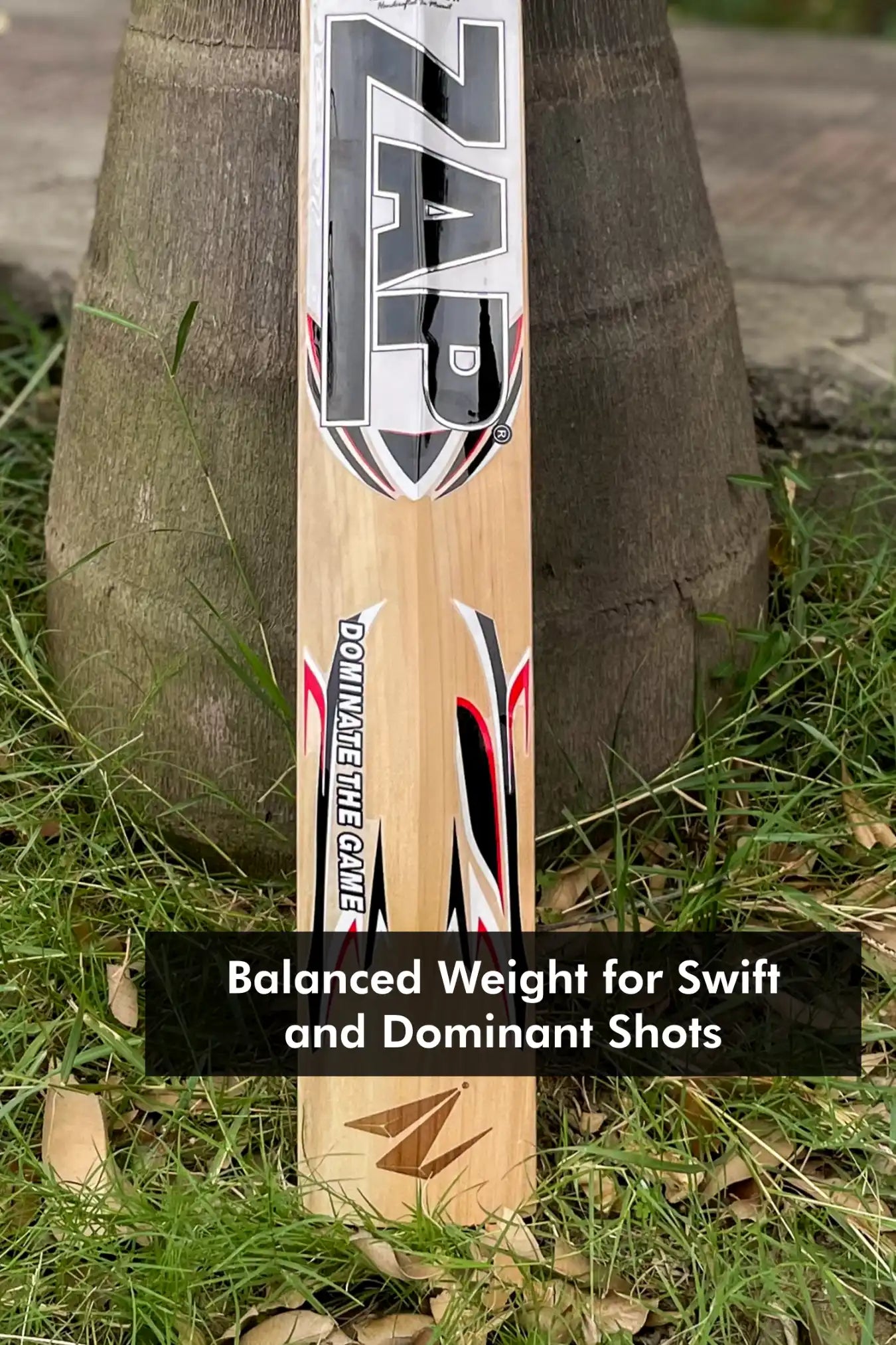 ZAP Alpha Kashmir Willow Cricket Bat (White)  EzyKom