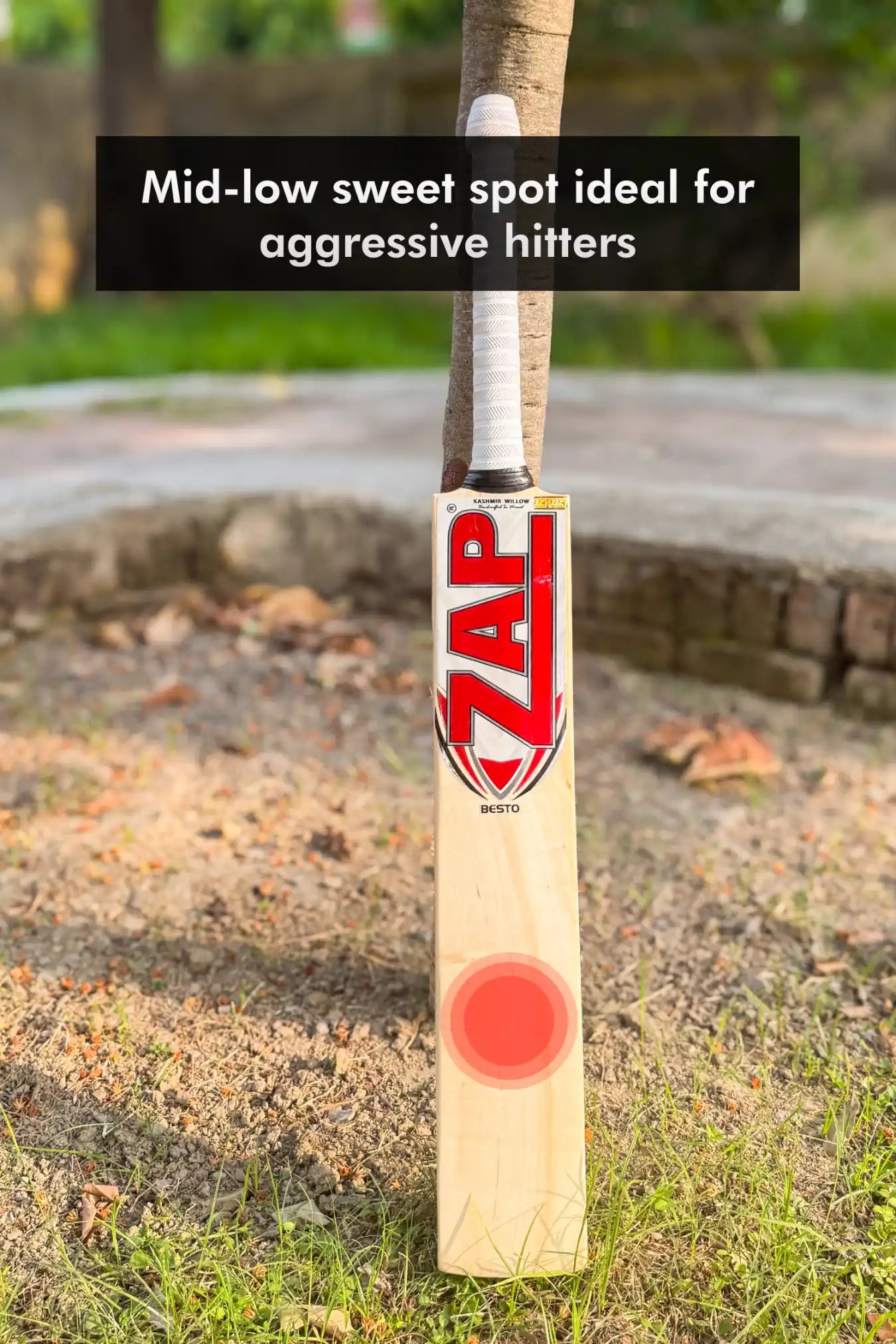 ZAP Besto Kashmir Willow Bat  EzyKom