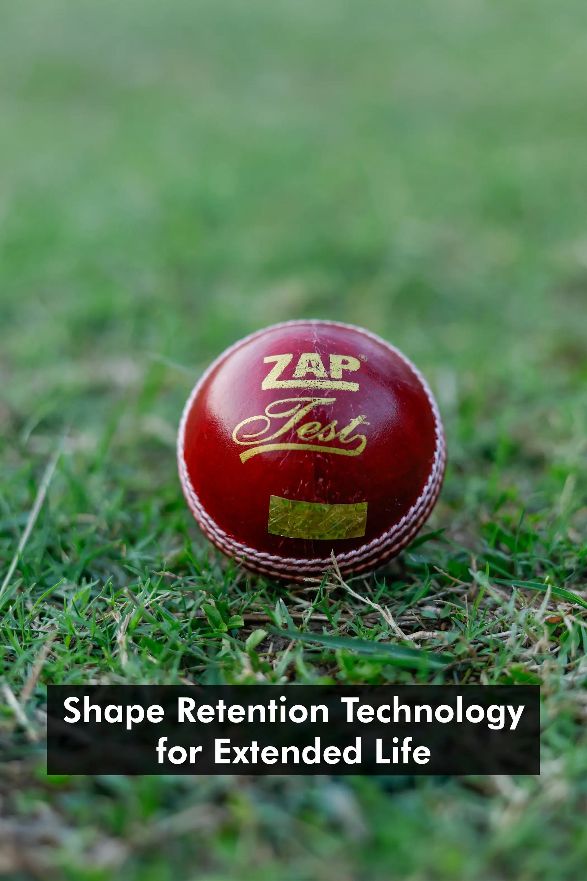 ZAP Test Cricket Leather Ball  EzyKom