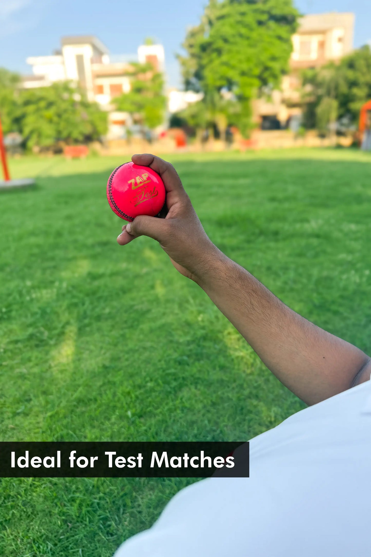 ZAP Test Cricket Leather Ball  EzyKom