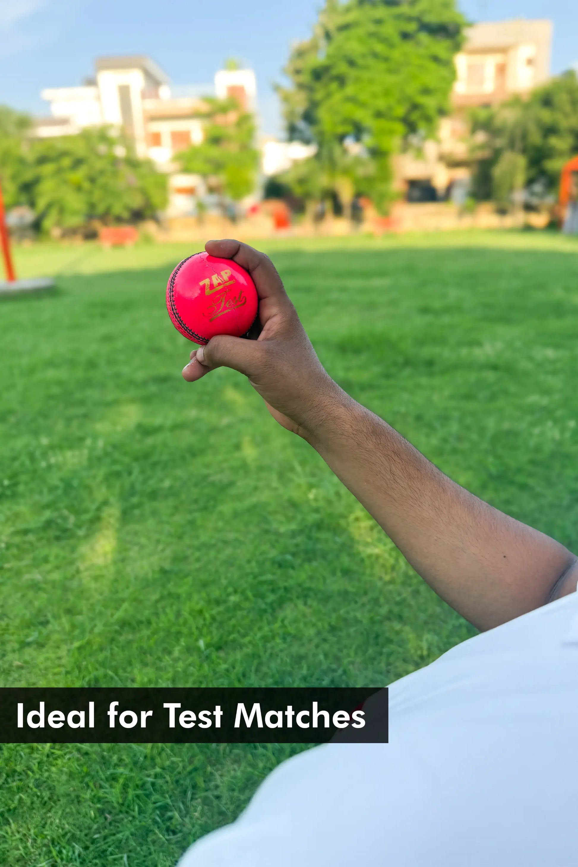 ZAP Test Cricket Leather Ball  EzyKom