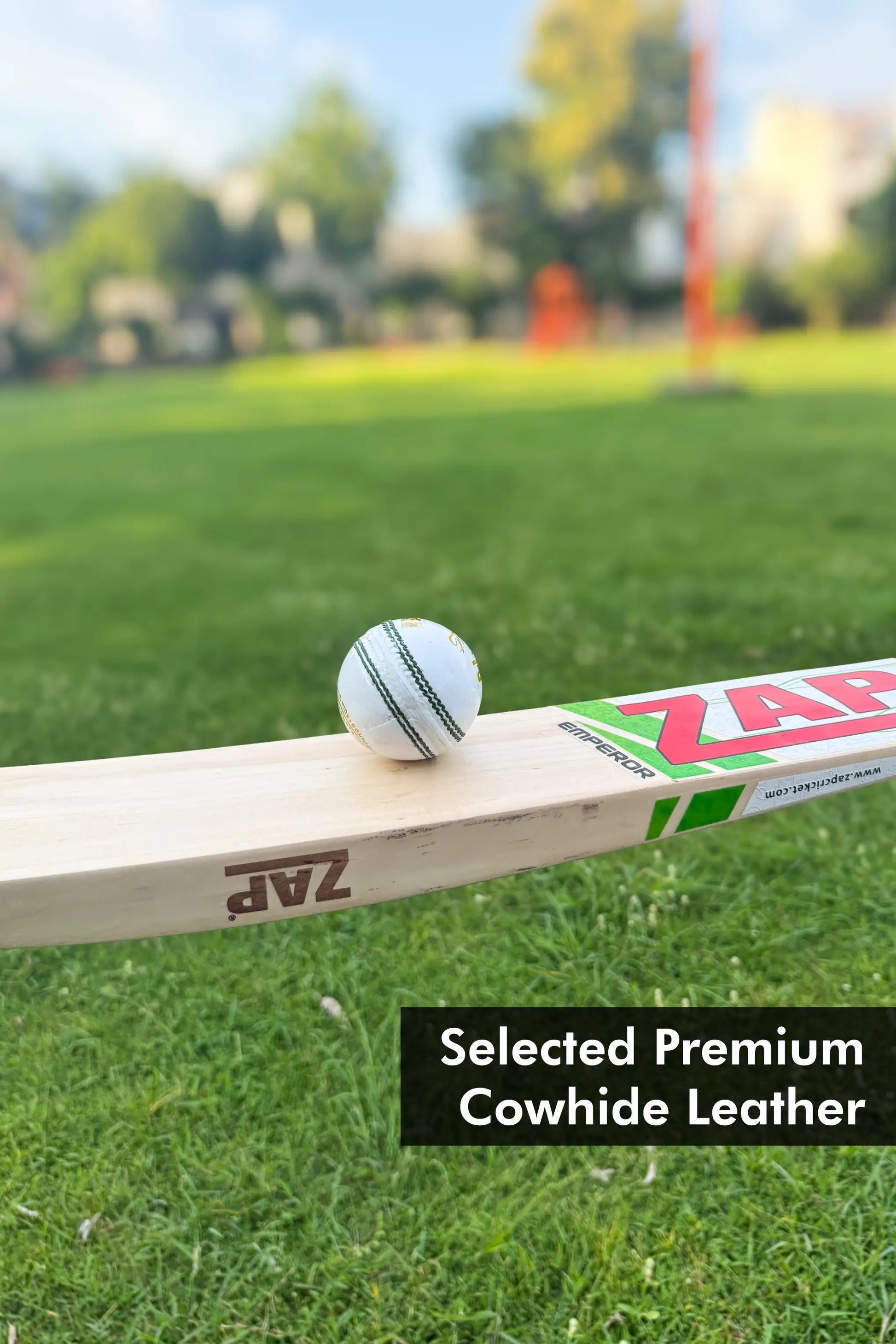 ZAP Test Cricket Leather Ball  EzyKom