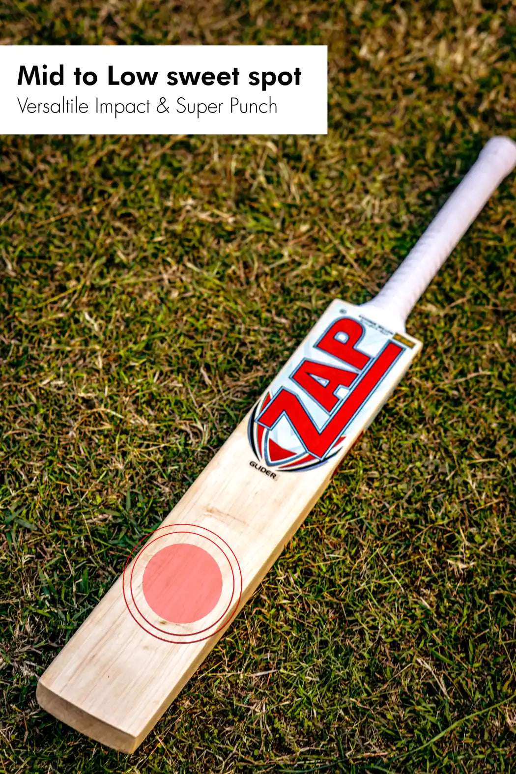 ZAP Glider Kashmir Willow Bat  EzyKom