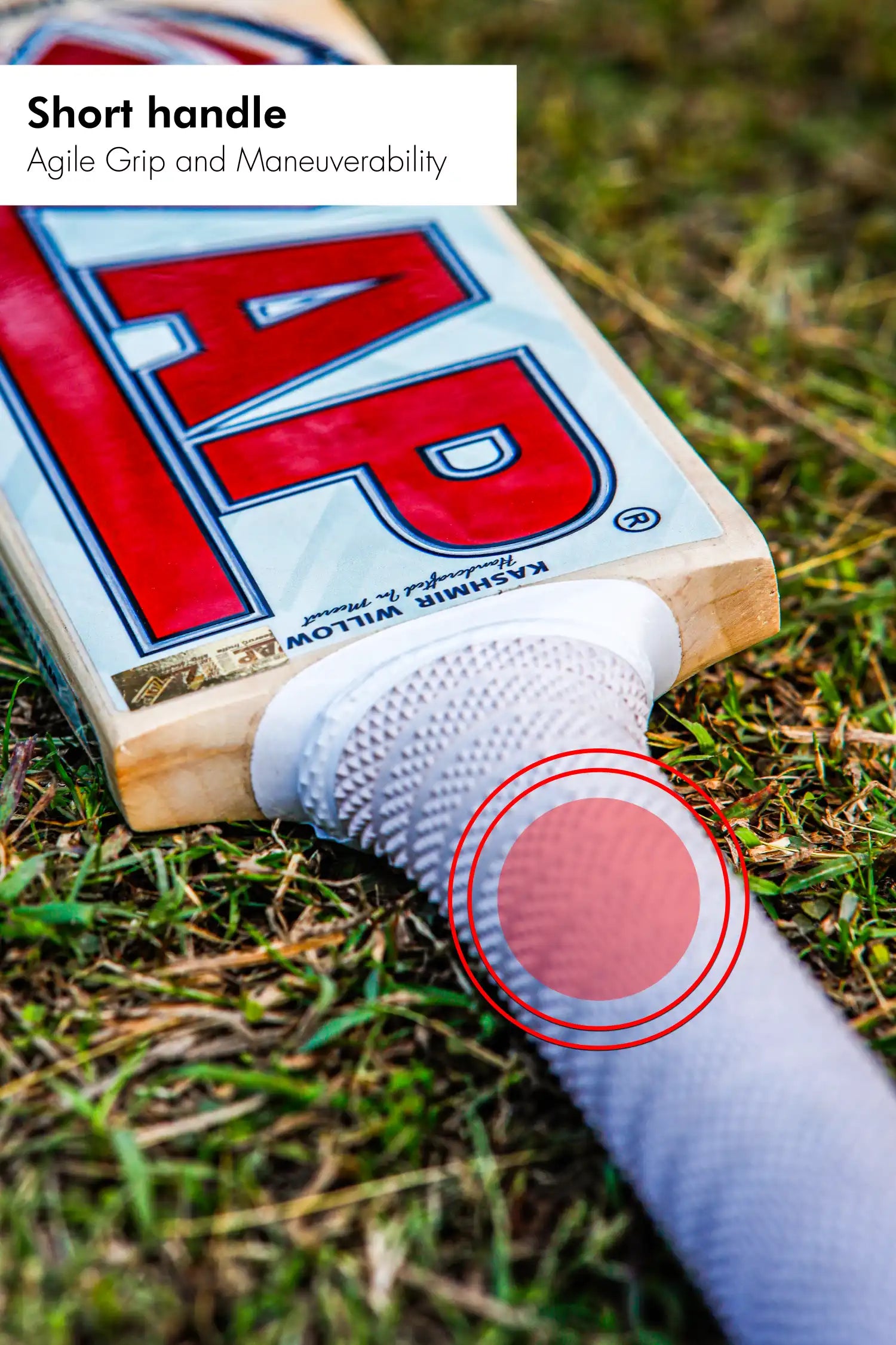 ZAP Glider Kashmir Willow Bat  EzyKom