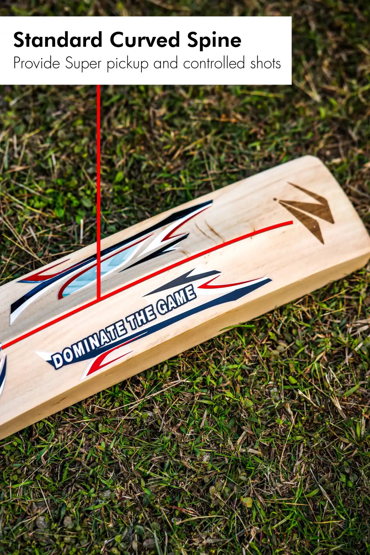 ZAP Glider Kashmir Willow Bat  EzyKom