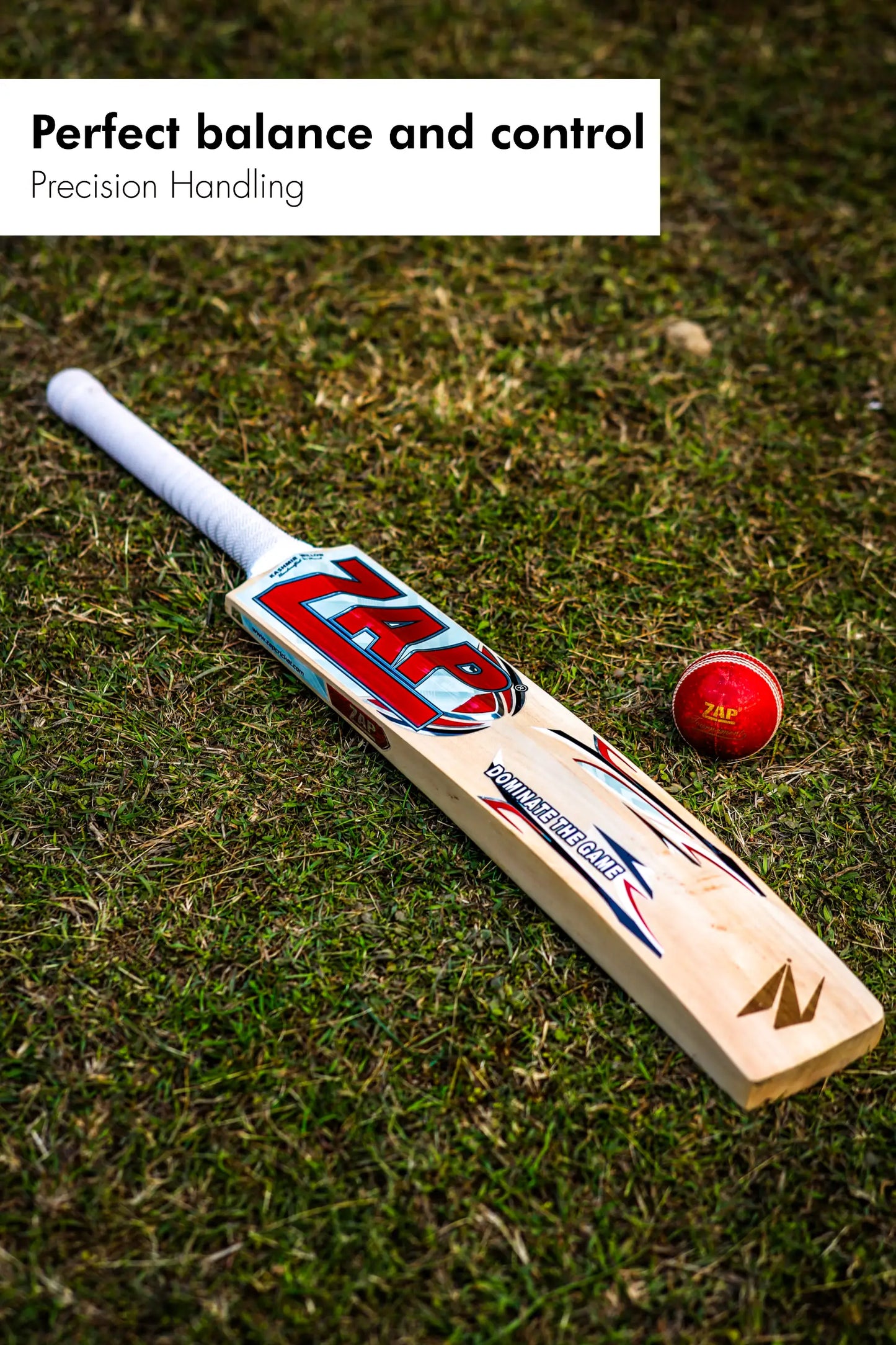 ZAP Glider Kashmir Willow Bat  EzyKom