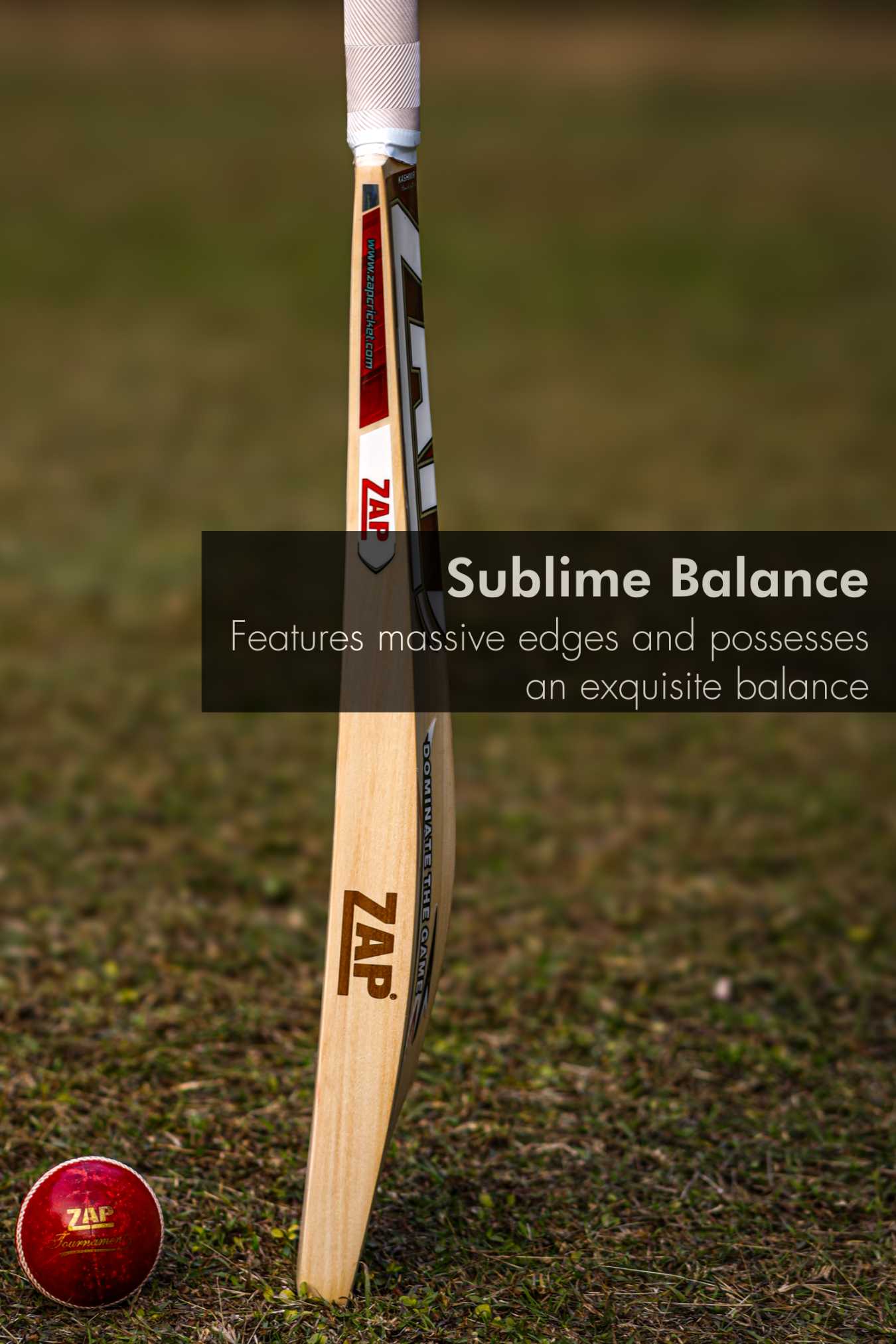 ZAP Instinct Kashmir Willow Bat  EzyKom