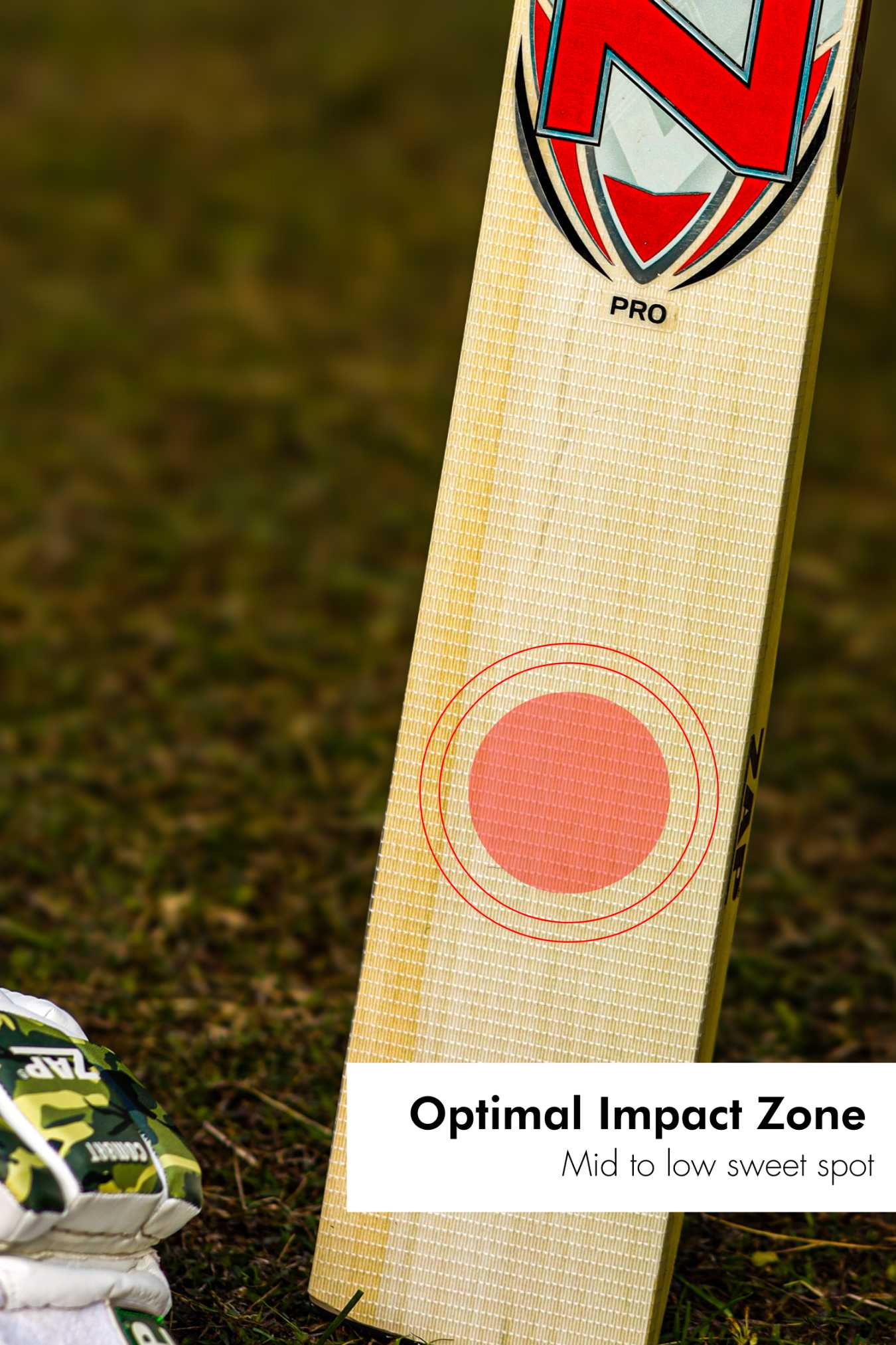 ZAP Pro Kashmir Willow Bat  EzyKom