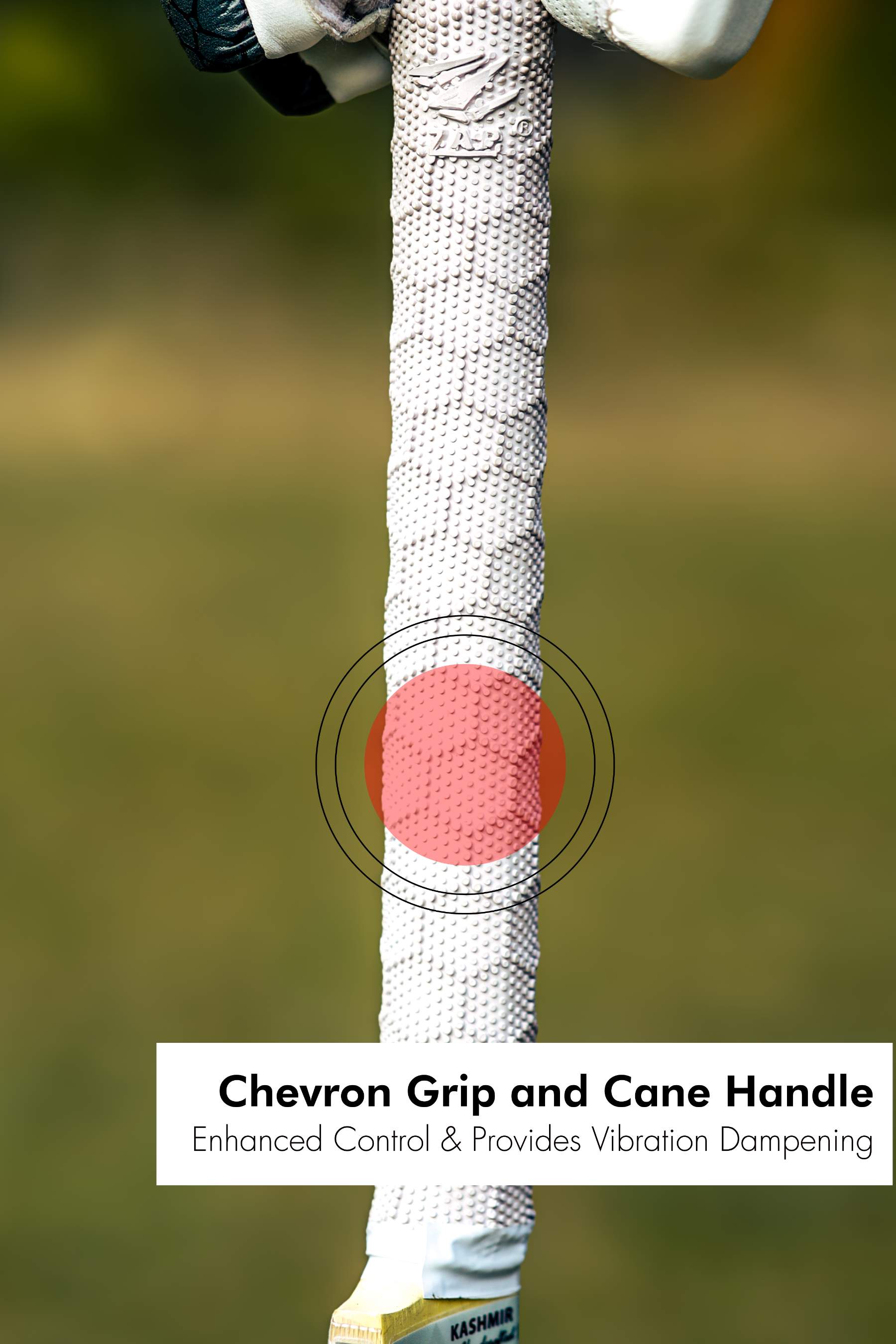 ZAP Pro Kashmir Willow Bat  EzyKom