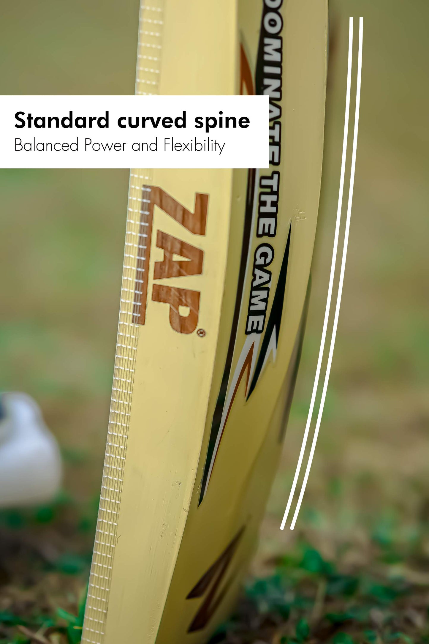 ZAP Pro Kashmir Willow Bat  EzyKom