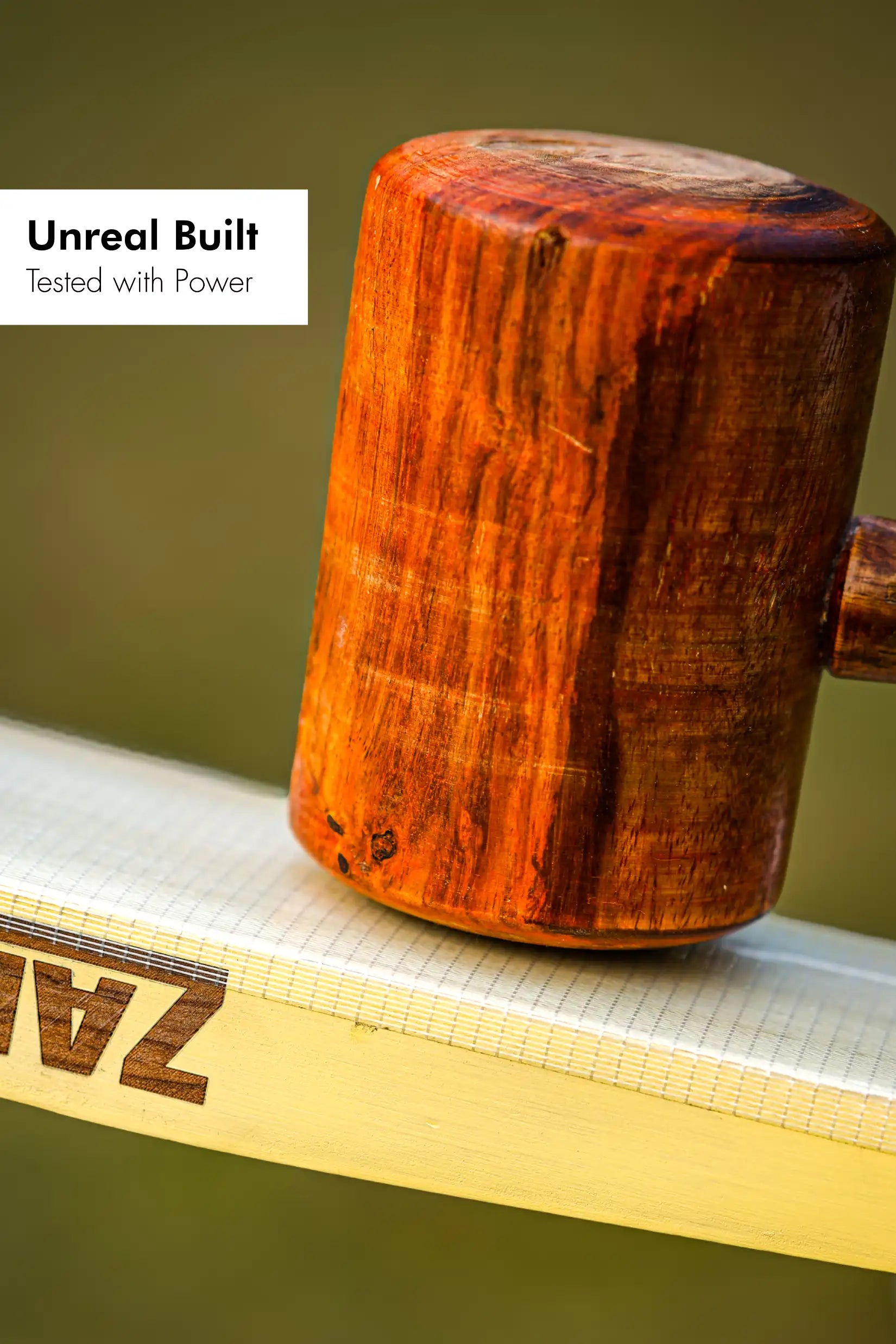 ZAP Pro Kashmir Willow Bat  EzyKom